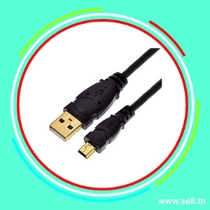 CORDON USB / MINI USB POUR ARDUINO NANO L=0.3M.Arduino tunisie